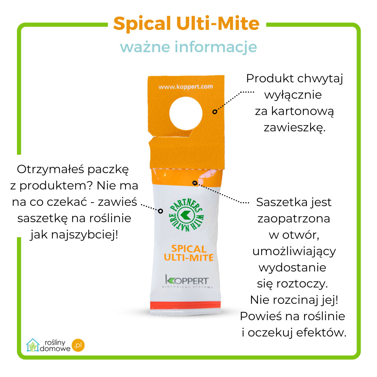 Spical Ulti Mite Na Prz dziorka Roslinydomowe pl spical-ulti-mite-na-prz-dziorka-roslinydomowe-pl